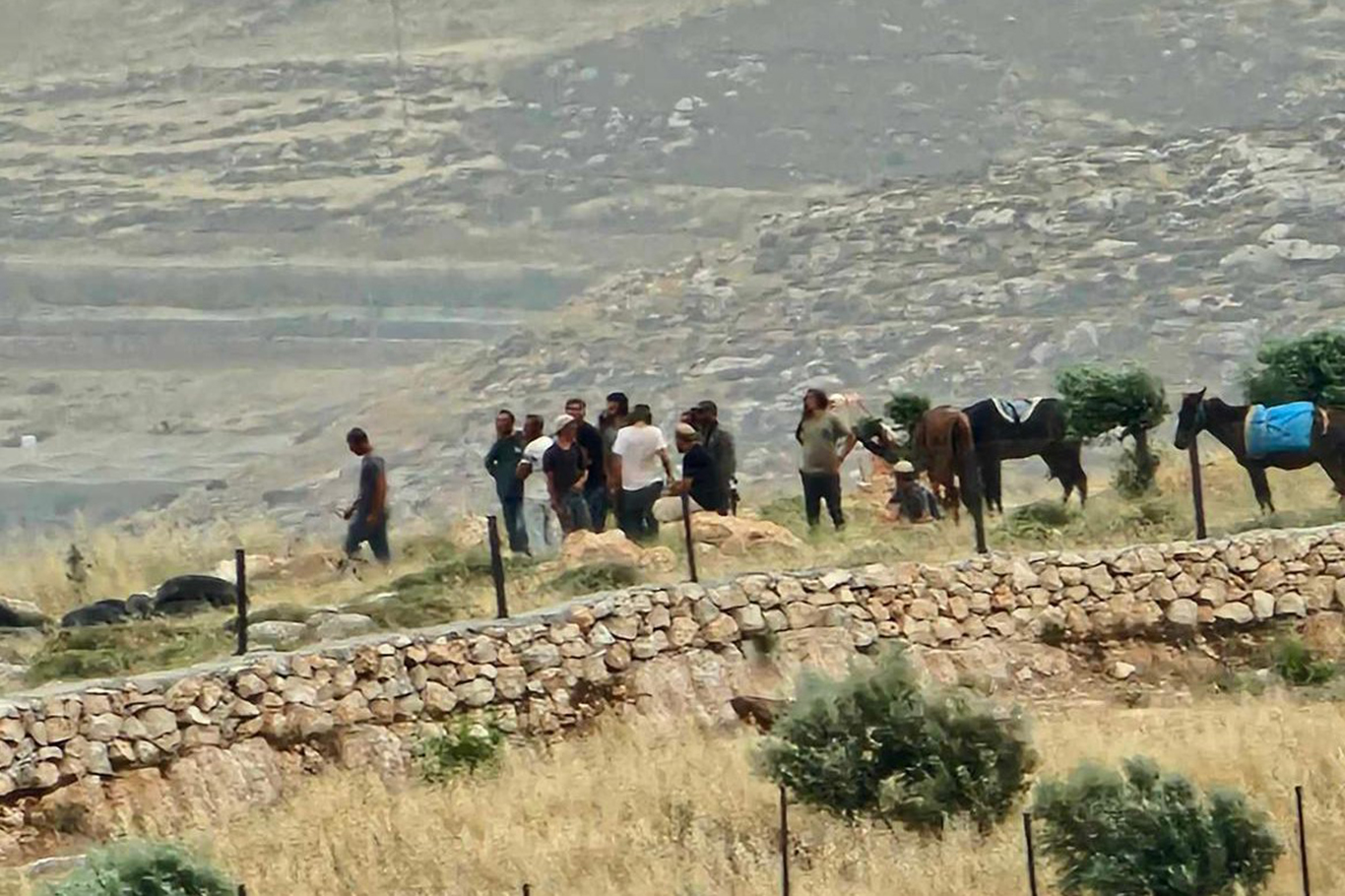 حمله شهرک‌نشینان یهودی در یطا: ۴ فلسطینی زخمی شدند و ۶۰ درخت از بین رفت