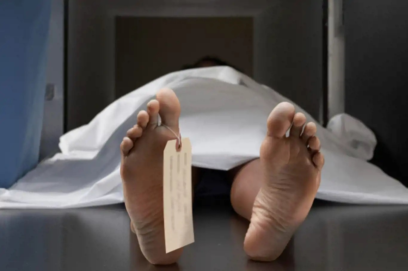 Türkiye records 491,684 deaths in 2025 as heart disease remains leading cause of mortality