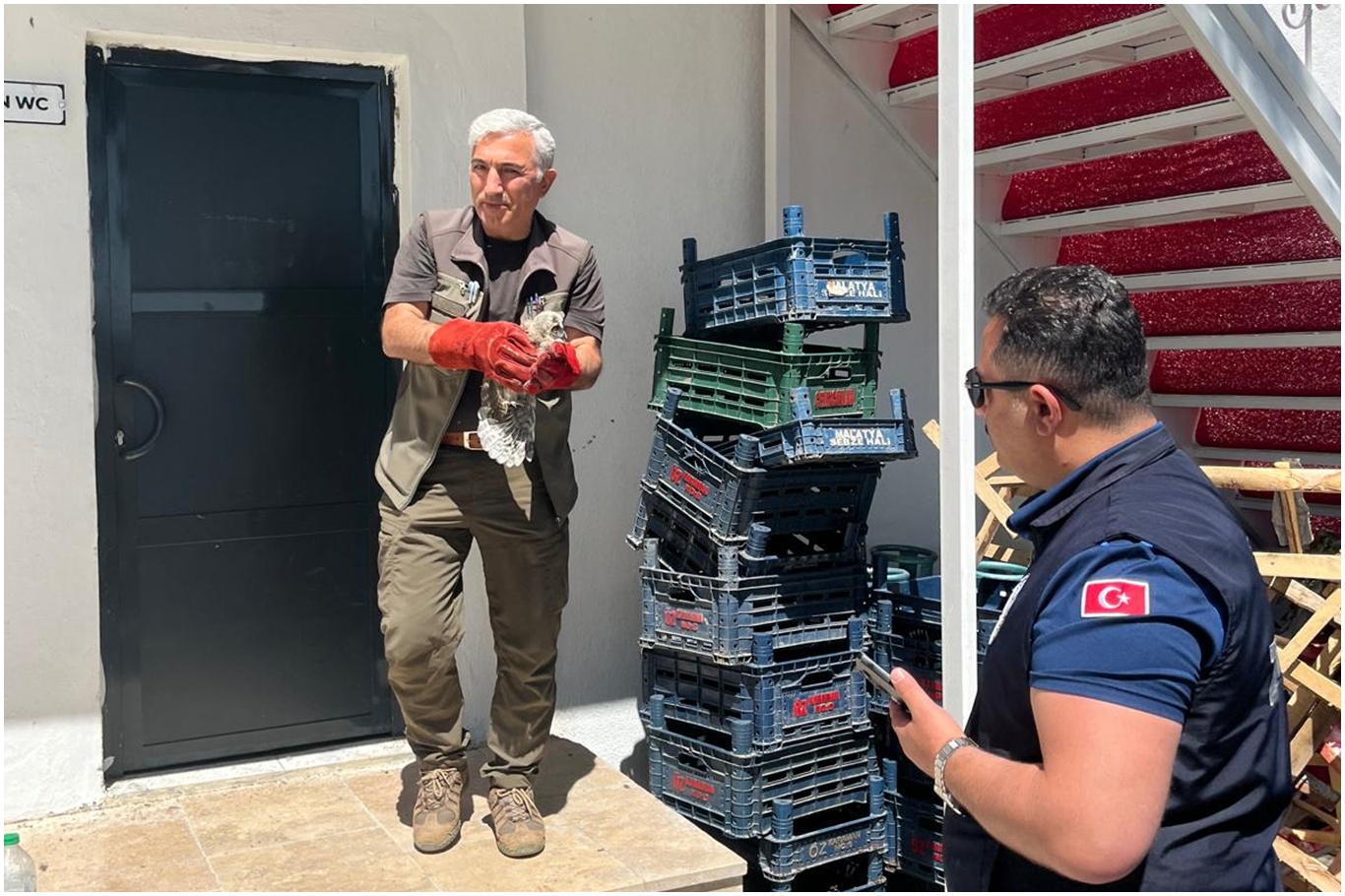 Battalgazi zabıtası bulduğu yavru baykuşu koruma altına aldı