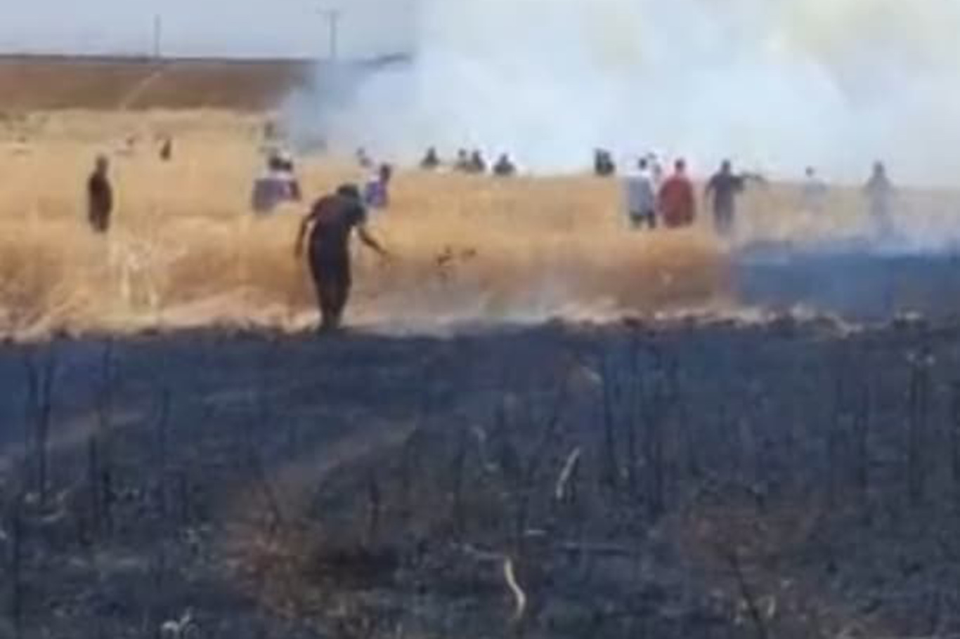 Diyarbakır'da buğday tarlası alevlere teslim oldu