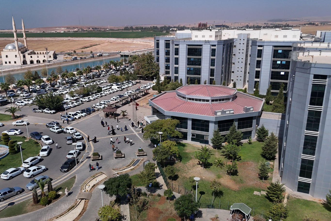 Kardiyoloji uzmanından meyan kökü şerbeti uyarısı