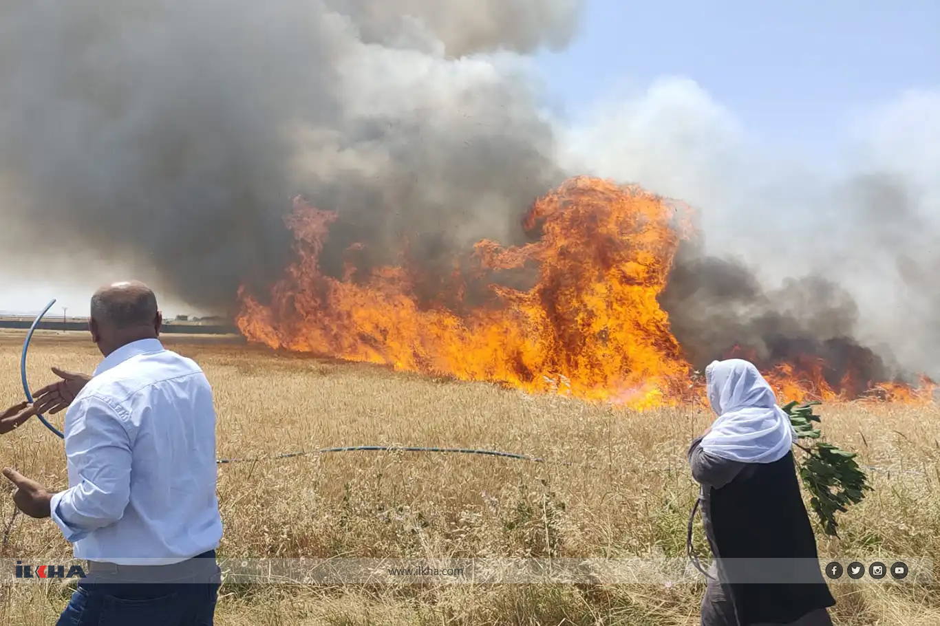 Li Dîyarbekirê agir bi zeviyeke genim ket