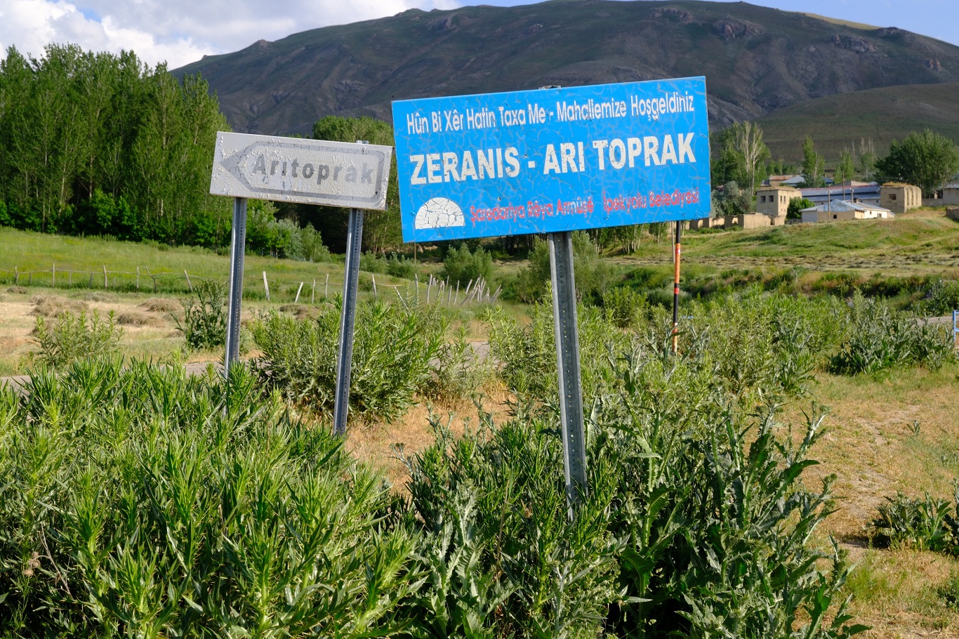 Van’ın 8 mahallesi kuduz vakası nedeniyle karantinaya alındı