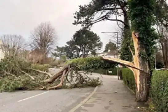 Meteoroloji'den kuvvetli yağış ve fırtına uyarısı