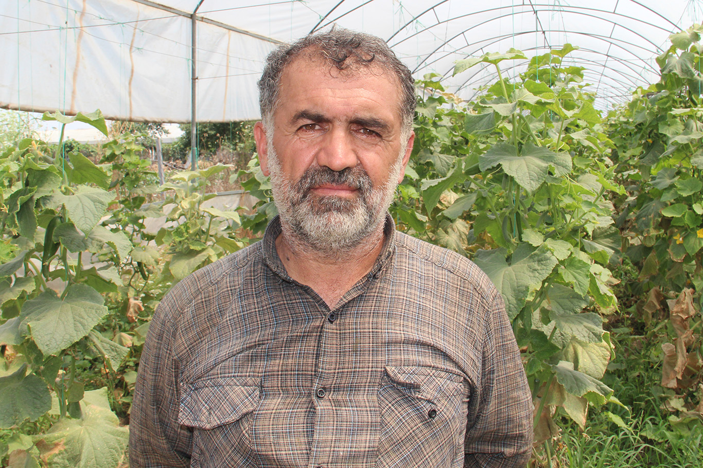Aydın Tekin