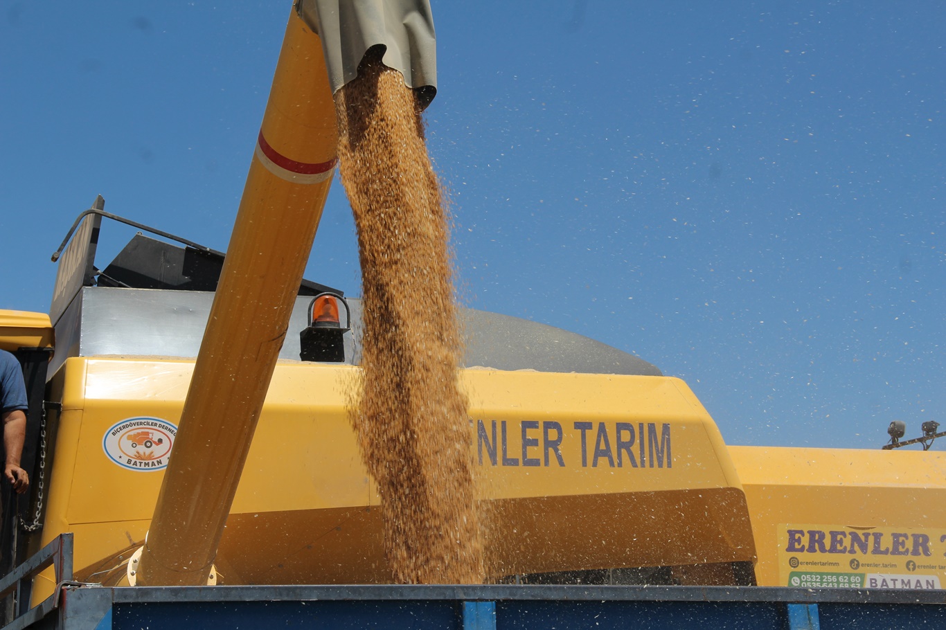 Buğday hasadı yüz güldürdü: Verim yüksek, çiftçinin tek derdi maliyetler