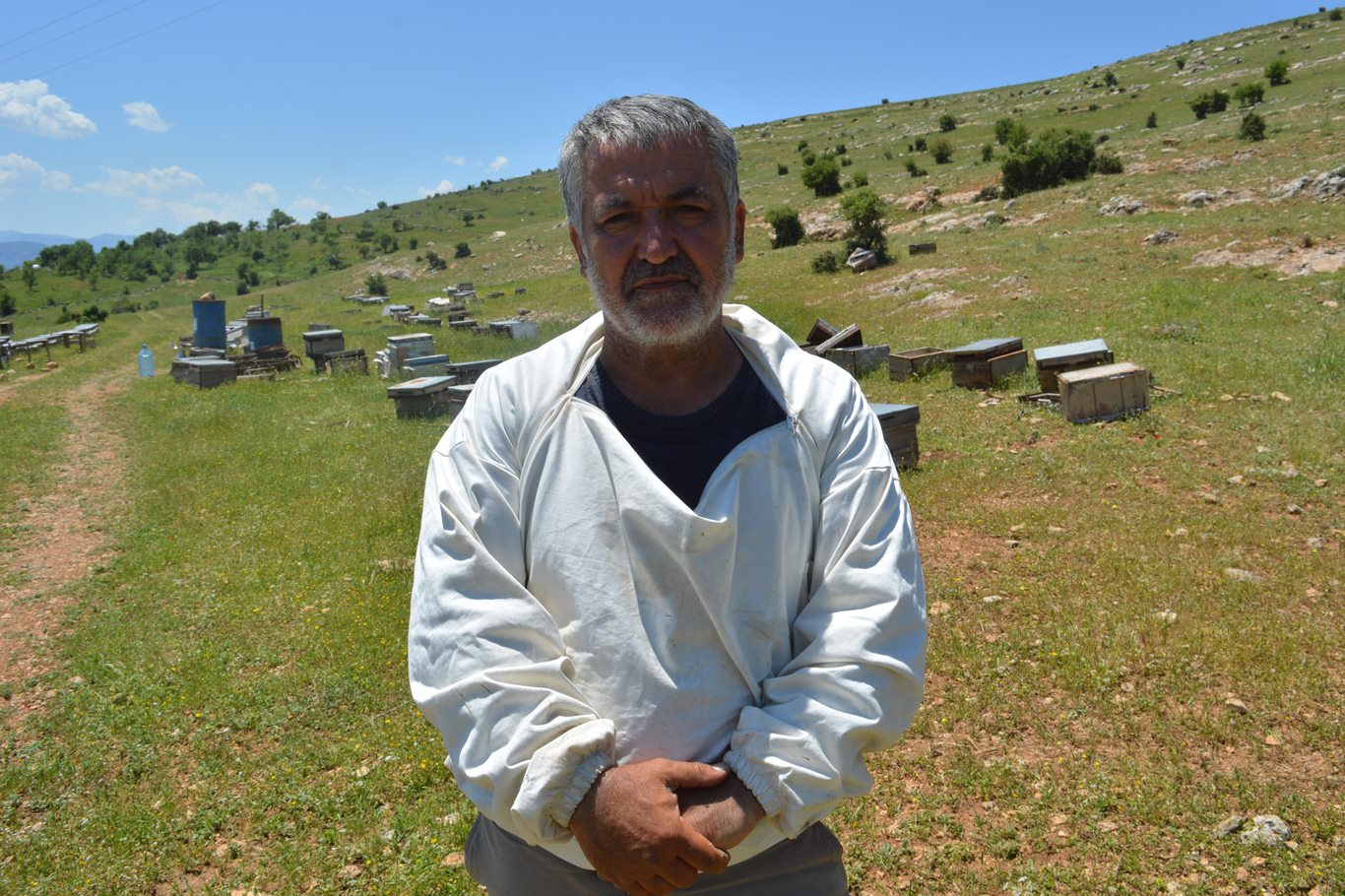 Arıcı Musa Taş: Arı bakımında doğal yöntemler tercih edilmeli