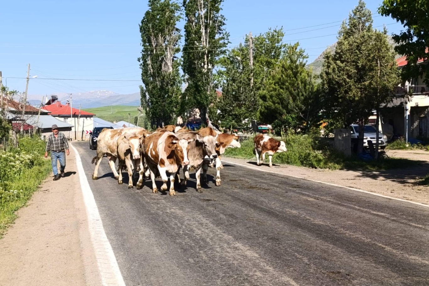 Adana'da mahalle içinden geçen yol için vatandaşlardan çevre yolu talebi
