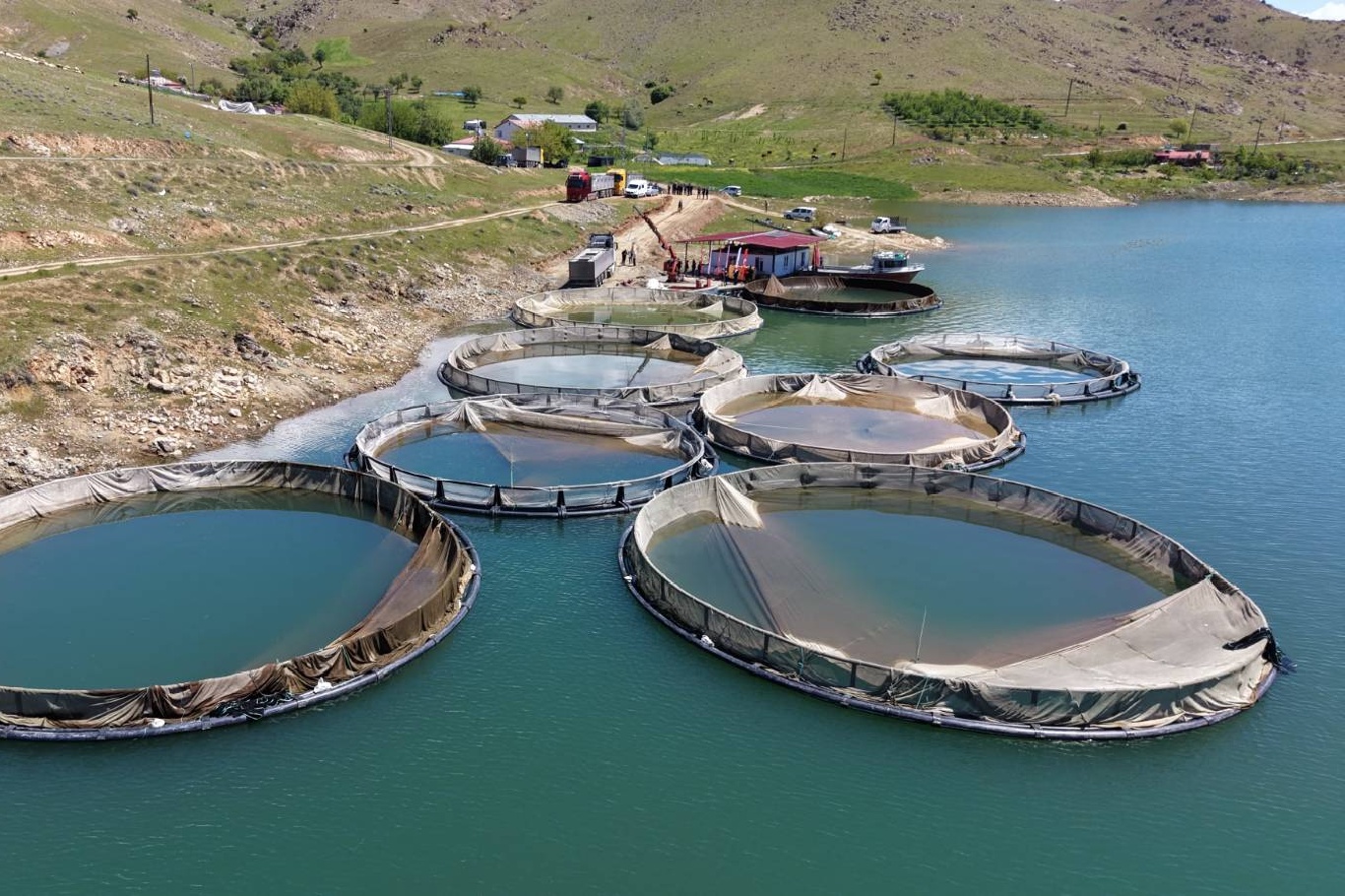 Su ürünlerinde sürdürülebilirlik için Ulusal Eylem Planı yayımlandı