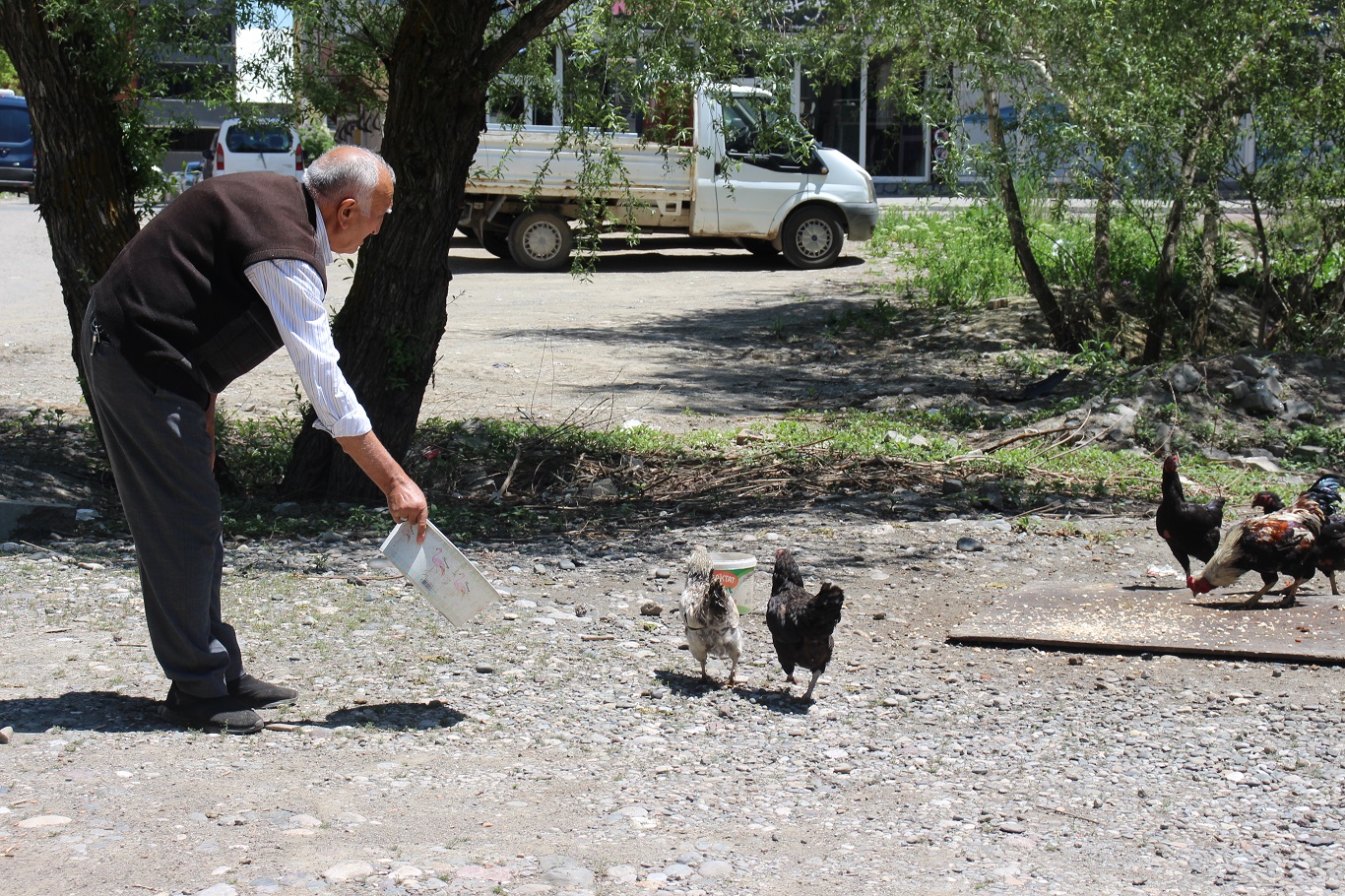 Lüks sitelerin arasında bir köy hayatı şehrin göbeğinde 40 yıllık doğa hayatı