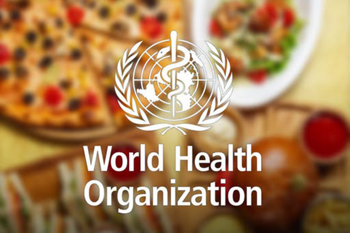 Unsafe food causes 866 million illnesses and 1.5 million deaths annually, WHO warns