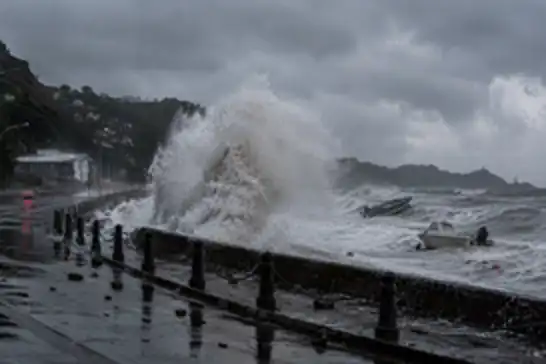 State of emergency declared in Wellington as massive 11-metre waves batter capital’s coastline