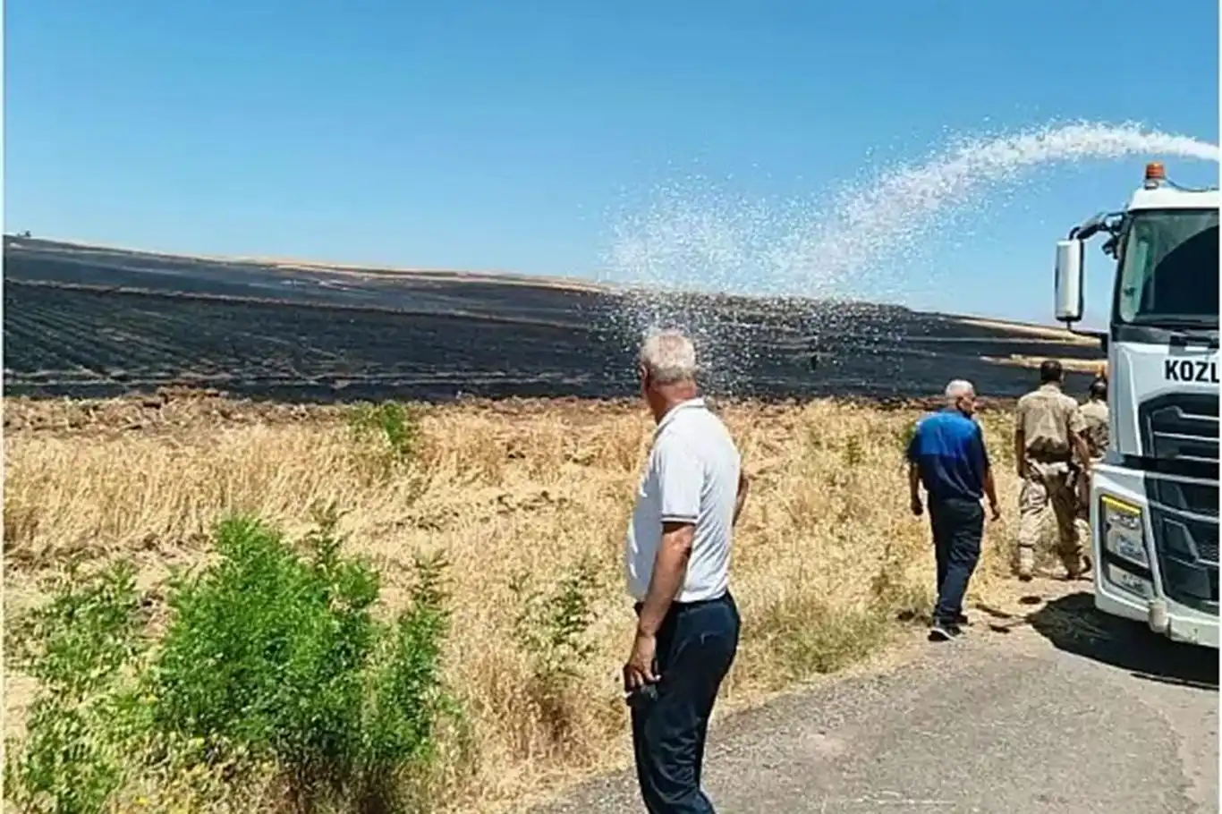 Siirt'te buğday tarlalarında yangın: Yüzlerce dönüm alan kül oldu
