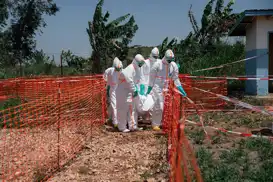 DRC Ebola outbreak nears 1,800 cases as death toll reaches 625