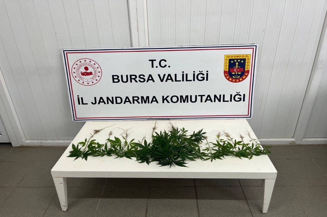 Bursa'da uyuşturucu operasyonu: 3 gözaltı