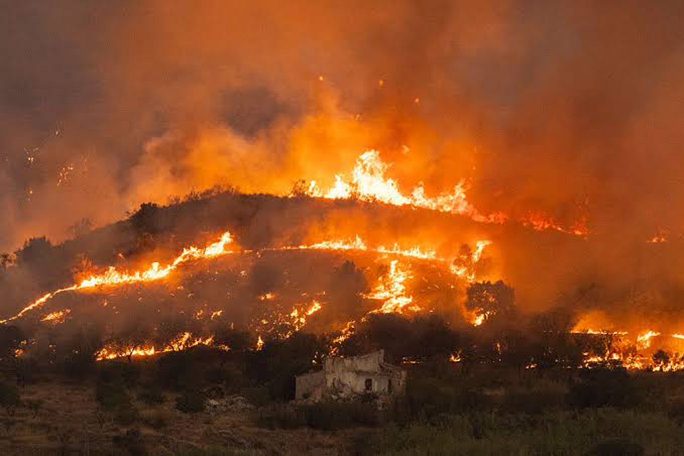 Spain battles deadly wildfire as death toll rises to 12 in Almería