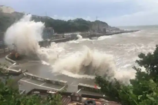 Typhoon Bavi makes landfall in eastern China after triggering mass evacuations across East Asia
