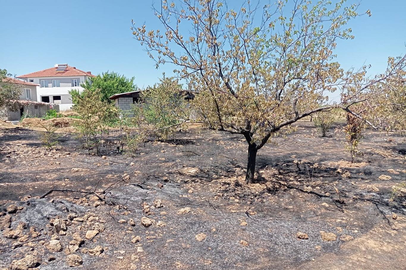Malatya'da dört ilçede yangın: Evlere sıçramadan kontrol altına alındı