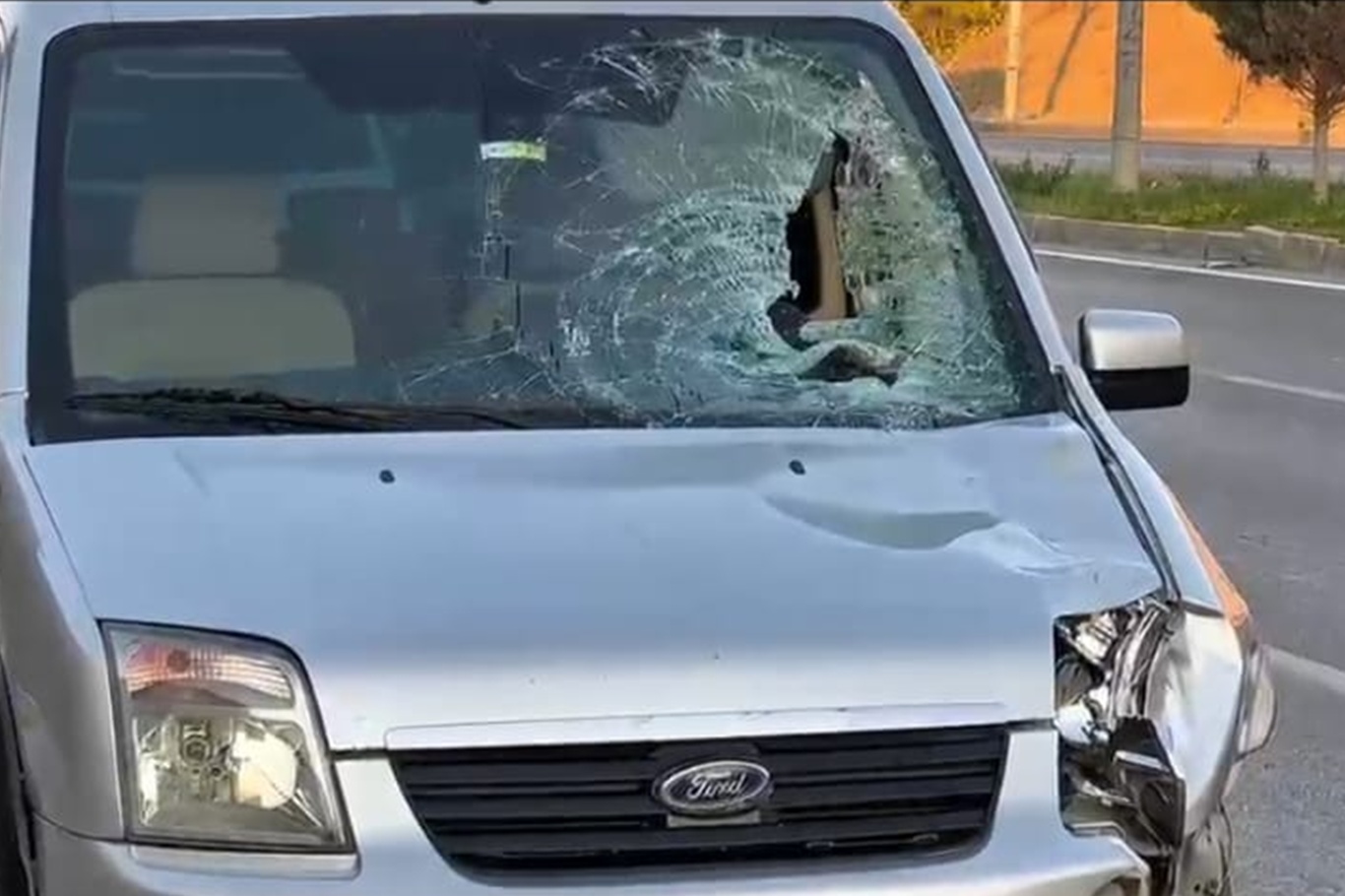 Malatya'da aracın çarptığı kadın hayatını kaybetti