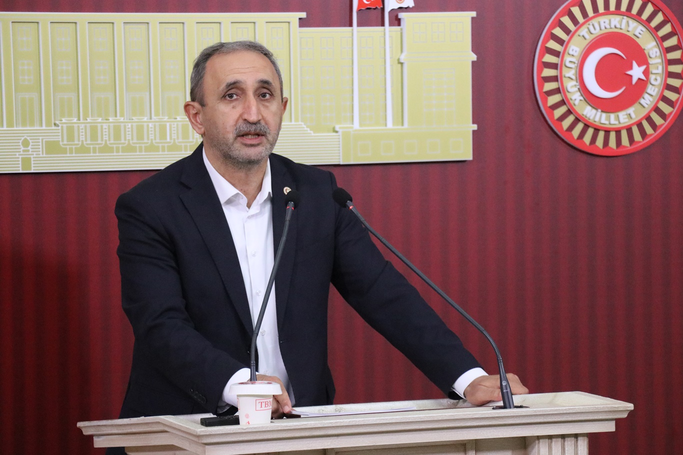 Şahzade Demir 