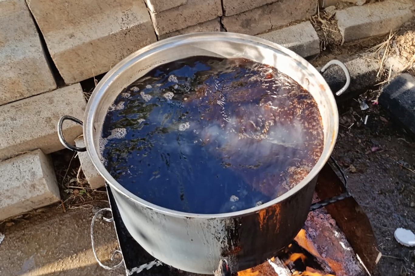 Şırnak'ta meşe ağaçlarından toplanan Gezu'dan pekmez yapımı başladı