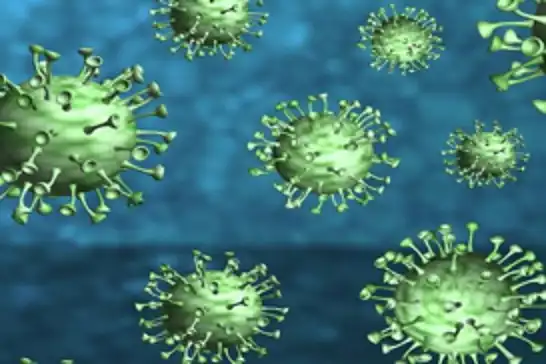 CDC warns of Cyclospora outbreak linked to Taco Bell lettuce in five U.S. states