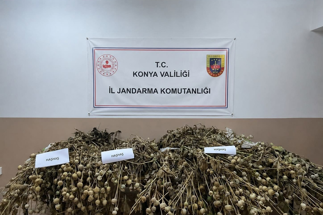 Konya'da jandarmadan uyuşturucu operasyonu