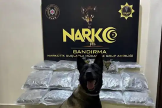 Balıkesir'de uyuşturucu operasyonu: 11 kilogram skunk ele geçirildi