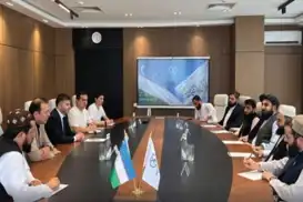 Afghanistan and Uzbekistan pledge closer cooperation in healthcare and pharmaceuticals