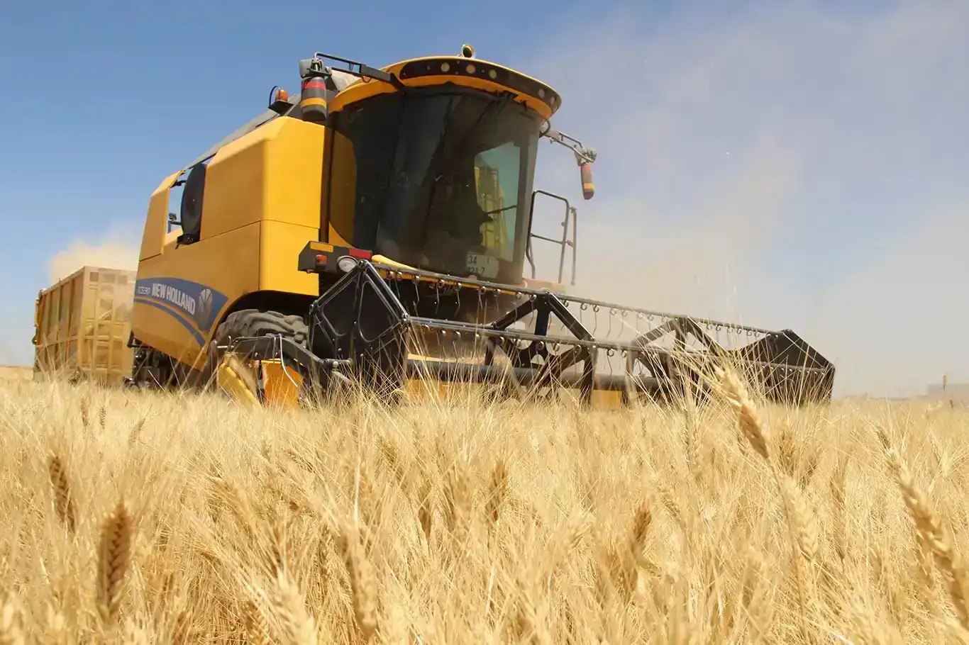 Türkiye's agricultural input prices rise 36.65% annually in May