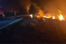 Wildfire forces evacuations on France's Mediterranean coast as Europe faces extreme heat