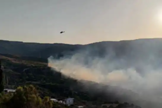Homeros Vadisi çevresindeki orman yangını kontrol altına alındı