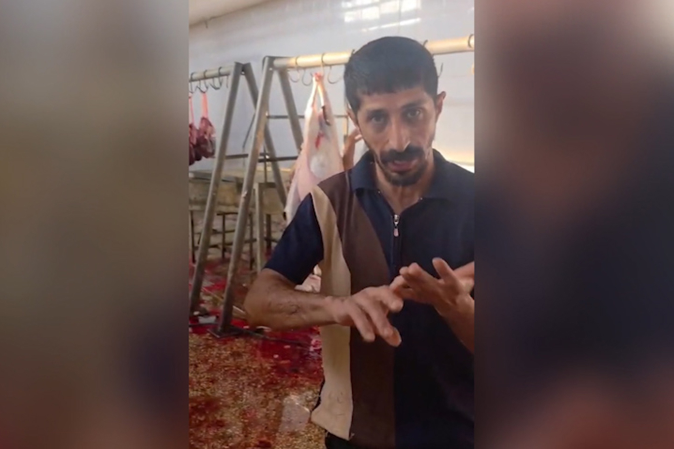 Silopi’deki kesimhanede su, elektrik ve temizlik krizi