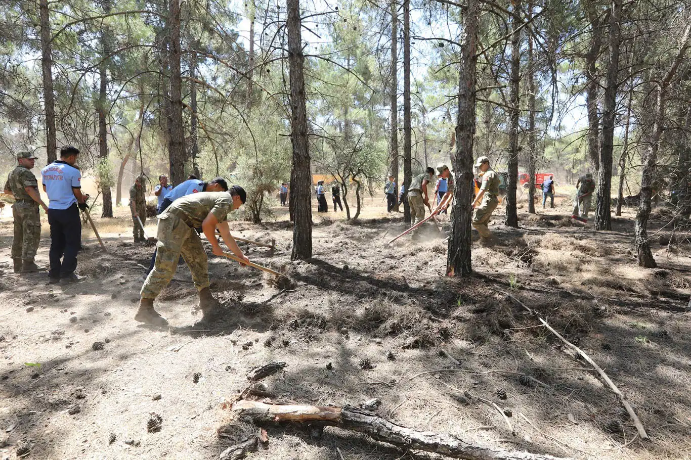Gaziantep'te orman yangınlarına karşı önleyici seferberlik