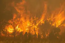 Spain's largest wildfire continues to rage as fresh heatwave threatens firefighting efforts