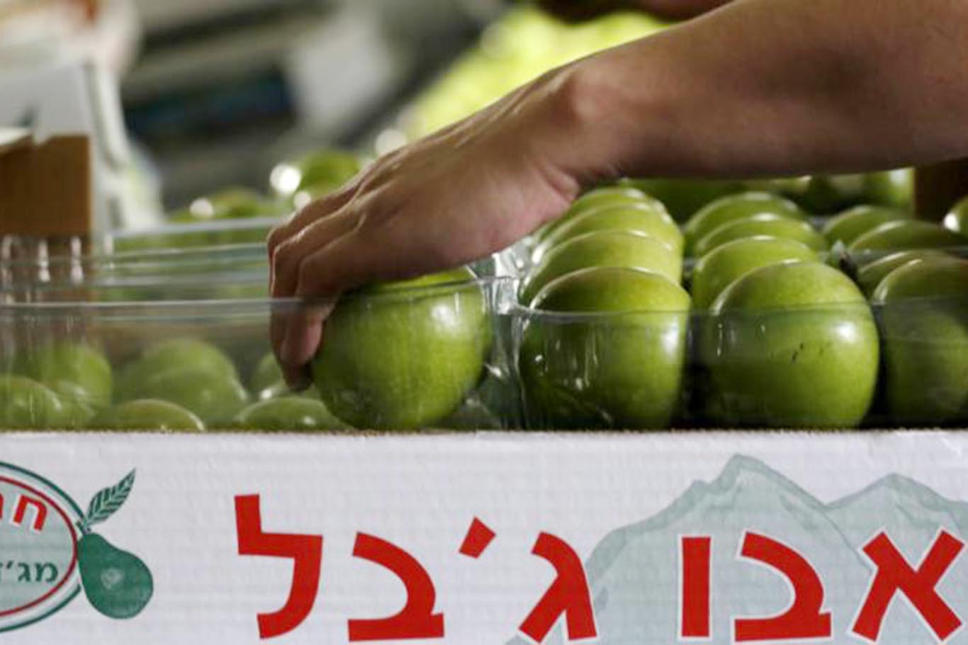 Netherlands to ban imports from illegal Israeli settlements from September 22