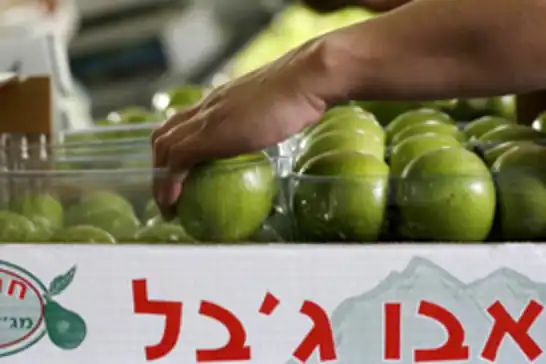 Netherlands to ban imports from illegal Israeli settlements from September 22