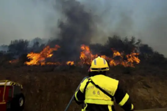 Massive wildfire burns over 2,500 hectares in southern France