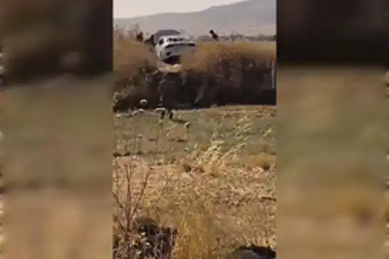 Mardin’de kontrolden çıkan otomobil tarlaya uçtu: 4 yaralı 