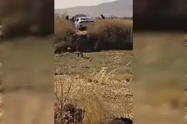 Mardin’de kontrolden çıkan otomobil tarlaya uçtu: 4 yaralı 