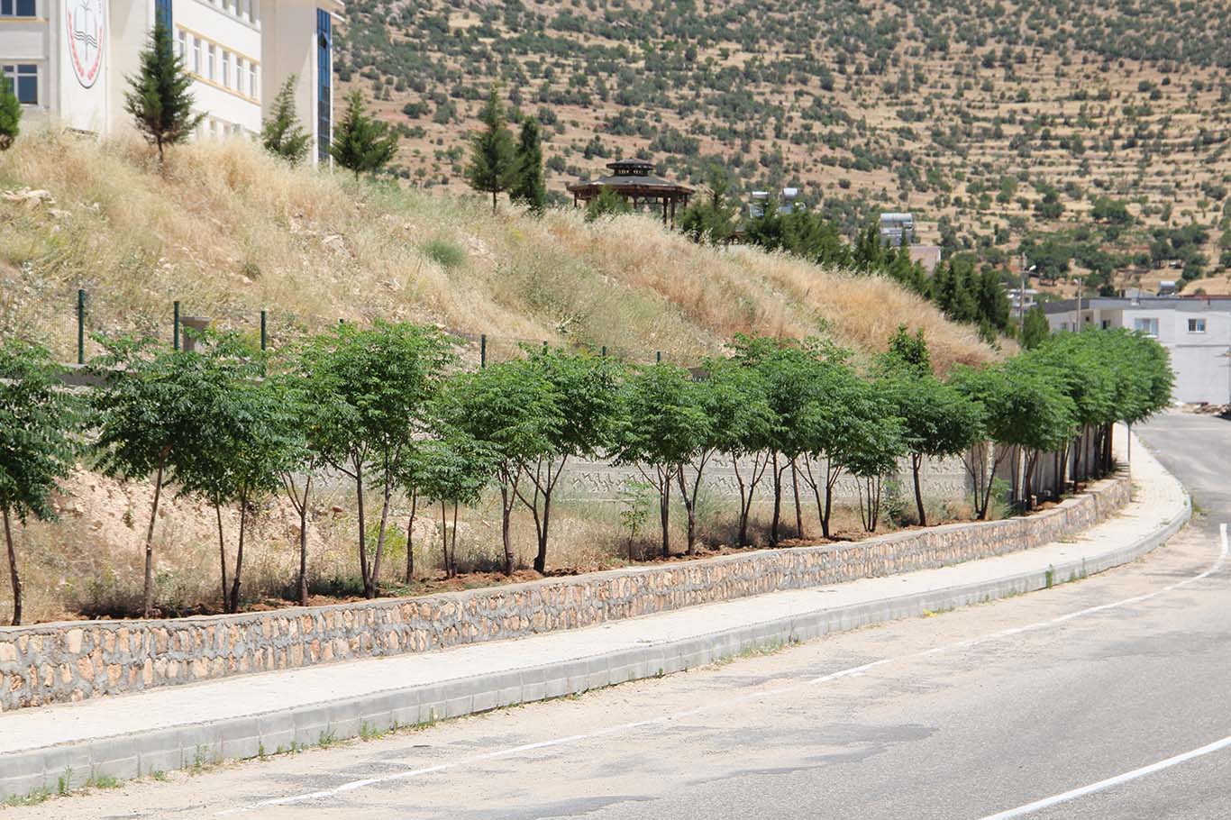 Belediye Başkanı Özhan: Kayapınar'ı eski yemyeşil günlerine kavuşturacağız