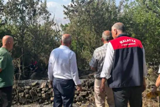 Malatya'da anız yangını: 50 dekarlık alan ile çok sayıda ağaç yandı