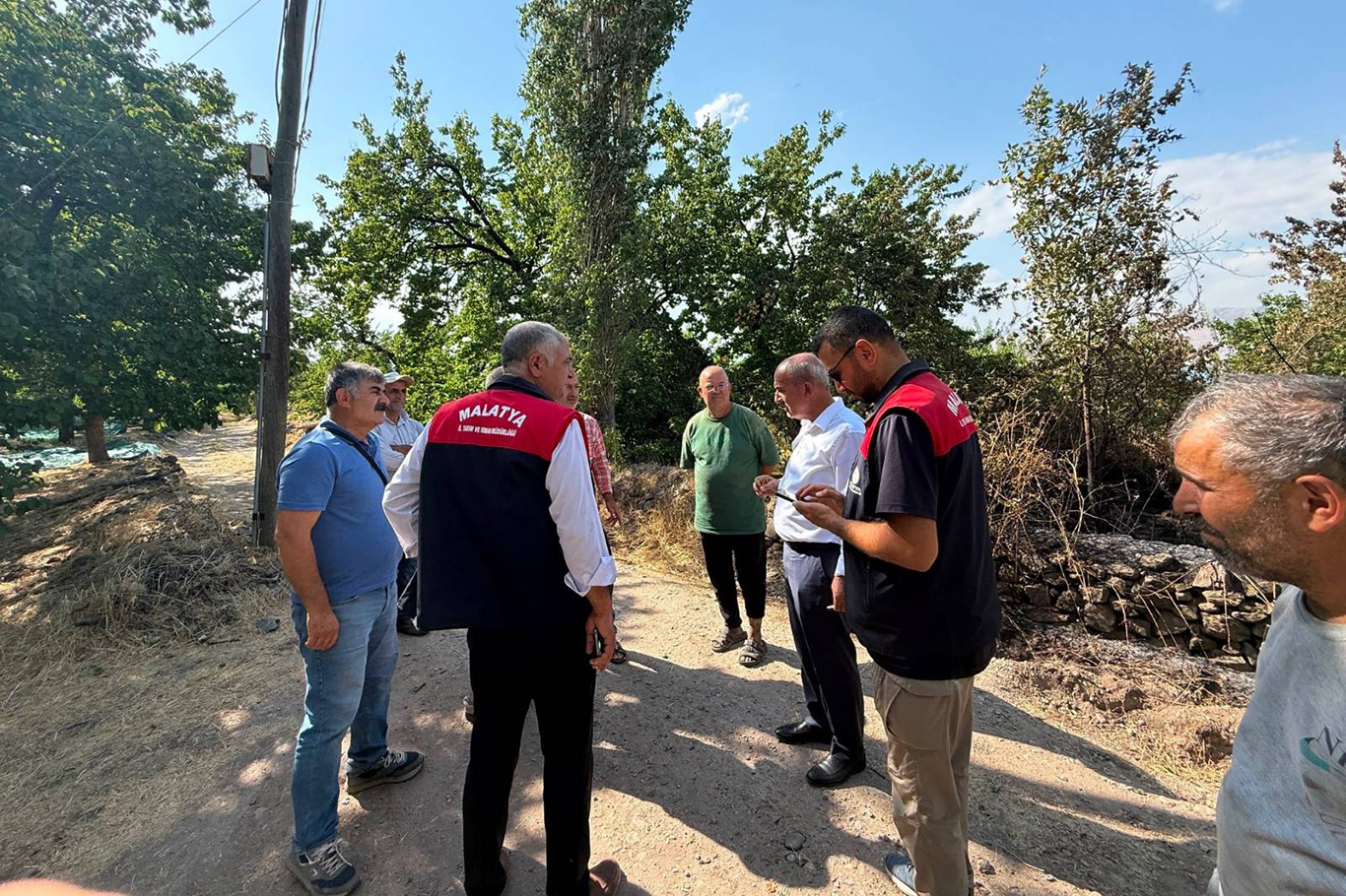 Malatya'da anız yangını: 50 dekarlık alan ile çok sayıda ağaç yandı