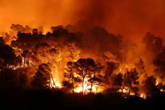 Massive wildfires force 200,000 evacuations in southwestern France