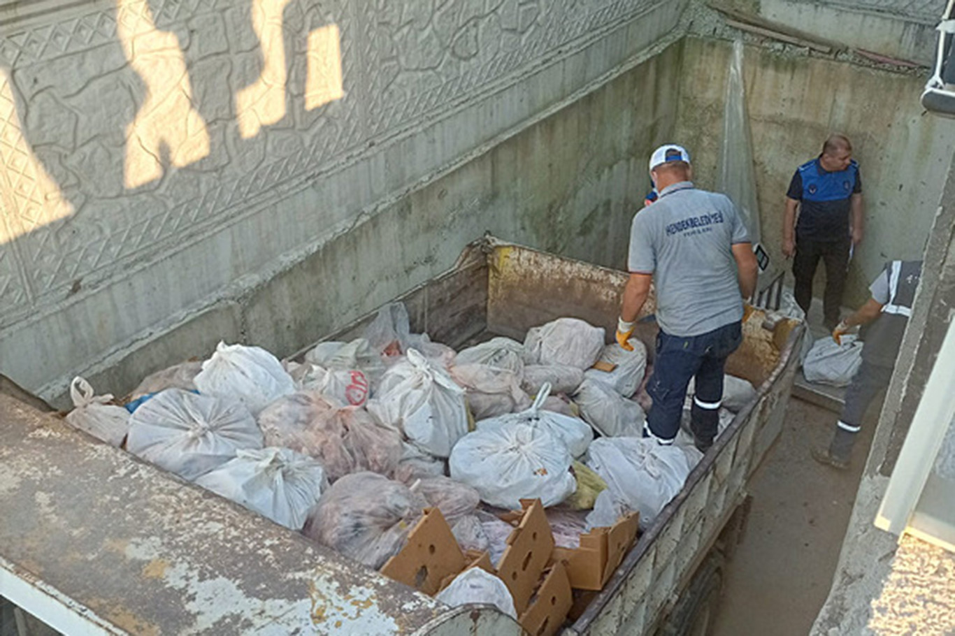5.5 ton berhemên goşt ên bêetîket hatin îmhakirin