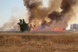 Suriye'de çıkan anız yangını Nusaybin sınırına sıçradı
