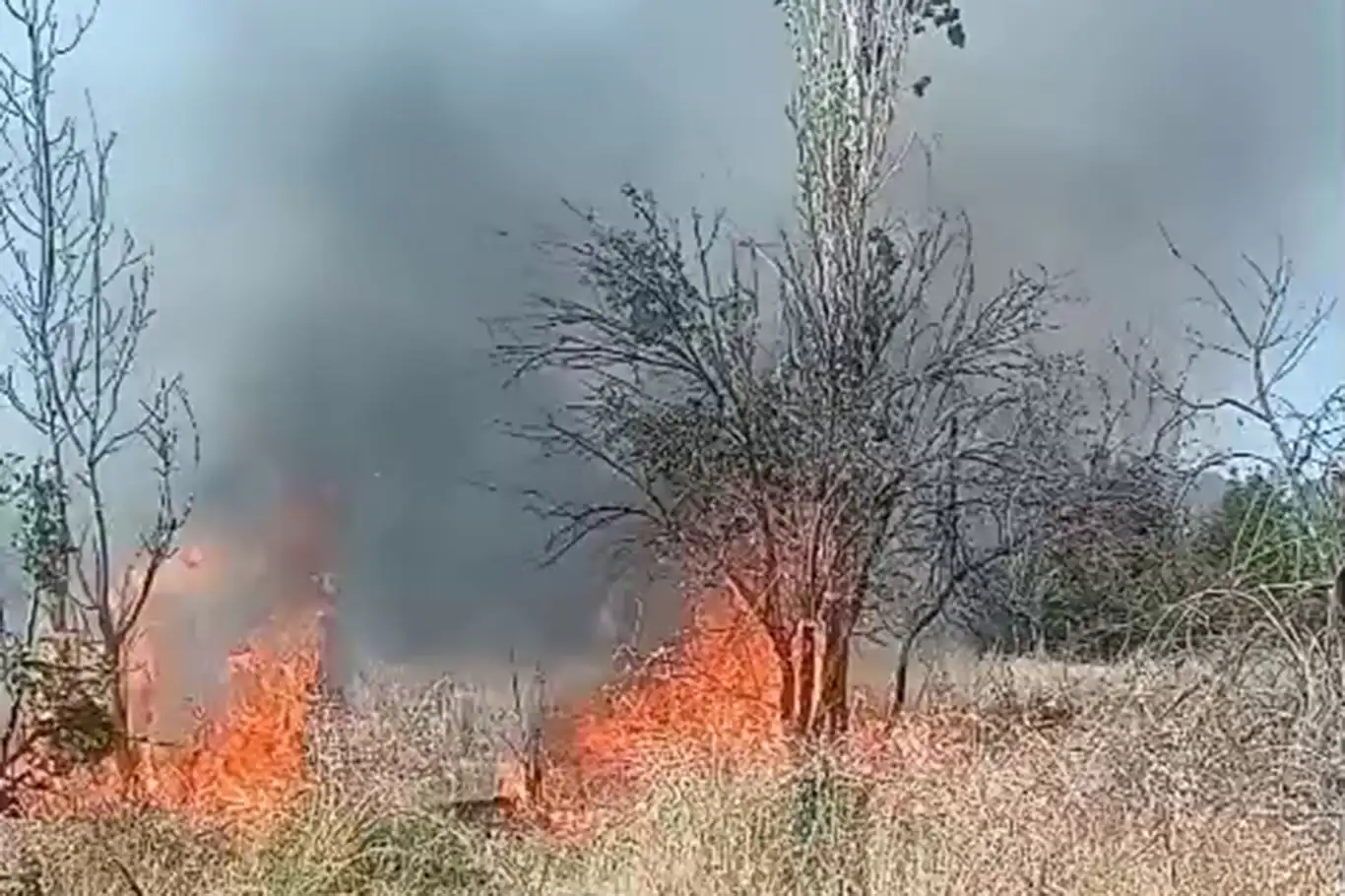 Malatya'da otluk ve bahçe yangını: Ekiplerin müdahalesi sürüyor