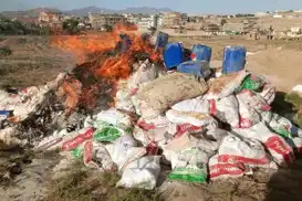 چندین تُن مواد قاچاق و مواد مخدر در افغانستان نابود شد