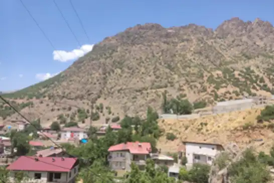 Beytüşşebap'ta 573 bin metrekarelik riskli alan çelik ağlarla örülecek