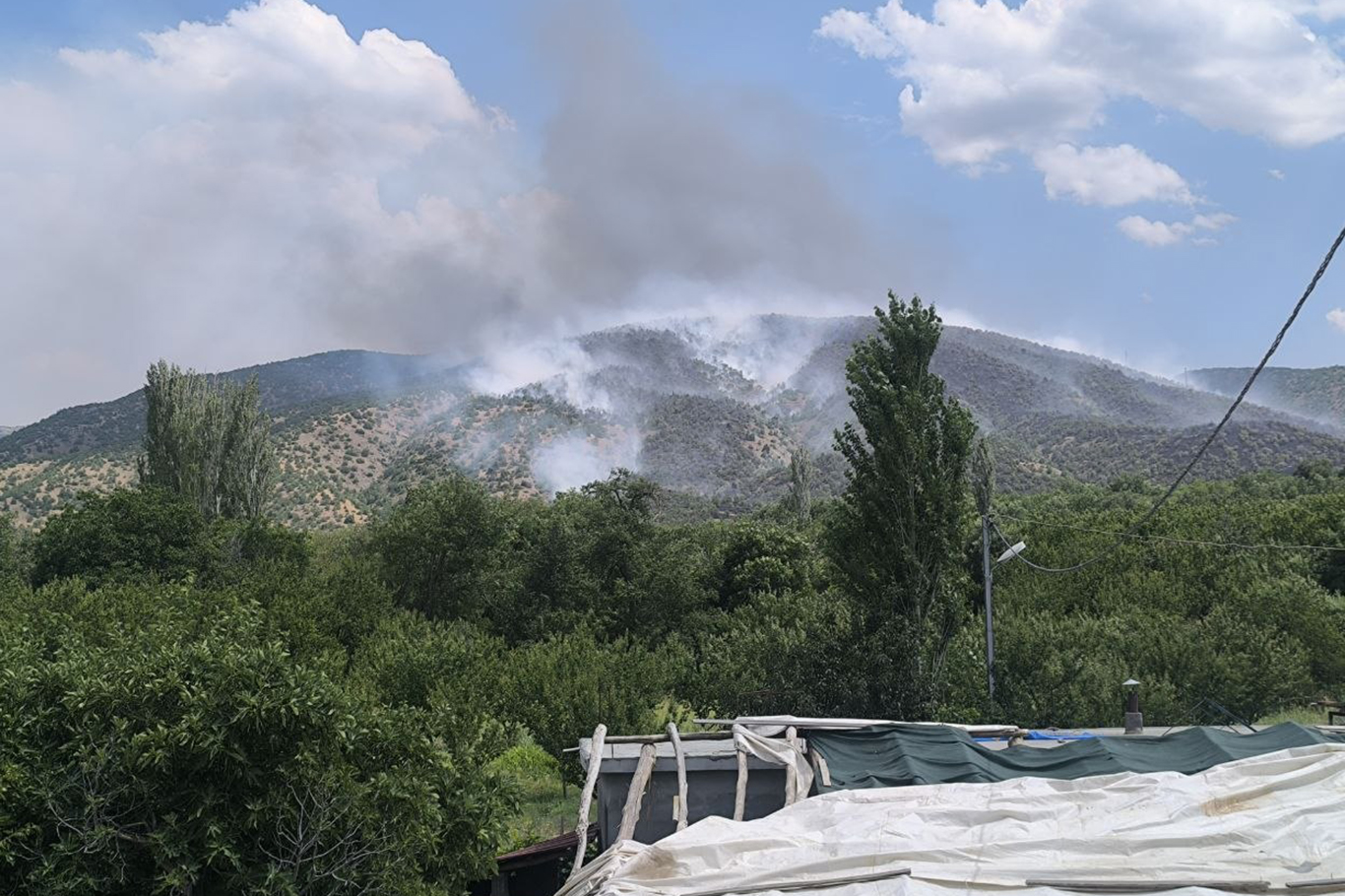 Malatya'da ormanlık alanda çıkan yangına çok sayıda ekip müdahale ediyor 